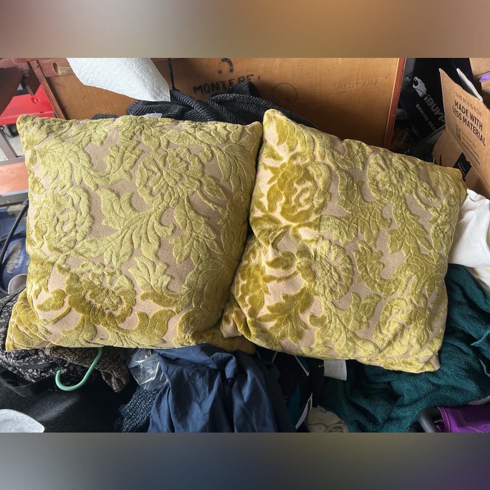 Z gallerie pillows set of 2 green and Tan Velvet Burnout Pattern